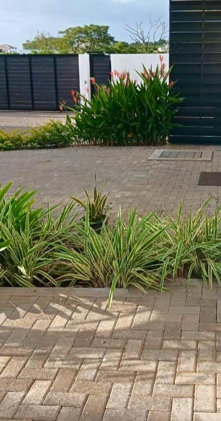 3Bed Villa With Private Pool And Rooftop With A Sea View In Flic-En-Flac, Mauritius מראה חיצוני תמונה